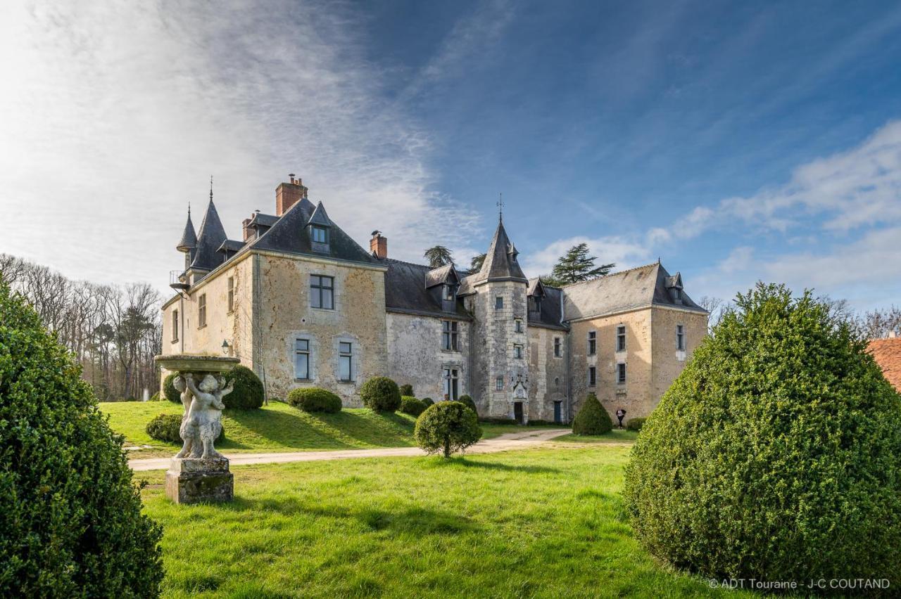 Chateau De Valesne Saché Dış mekan fotoğraf