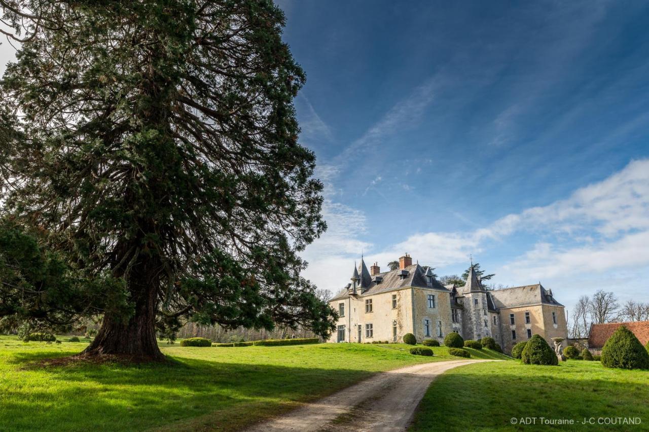 Chateau De Valesne Saché Dış mekan fotoğraf