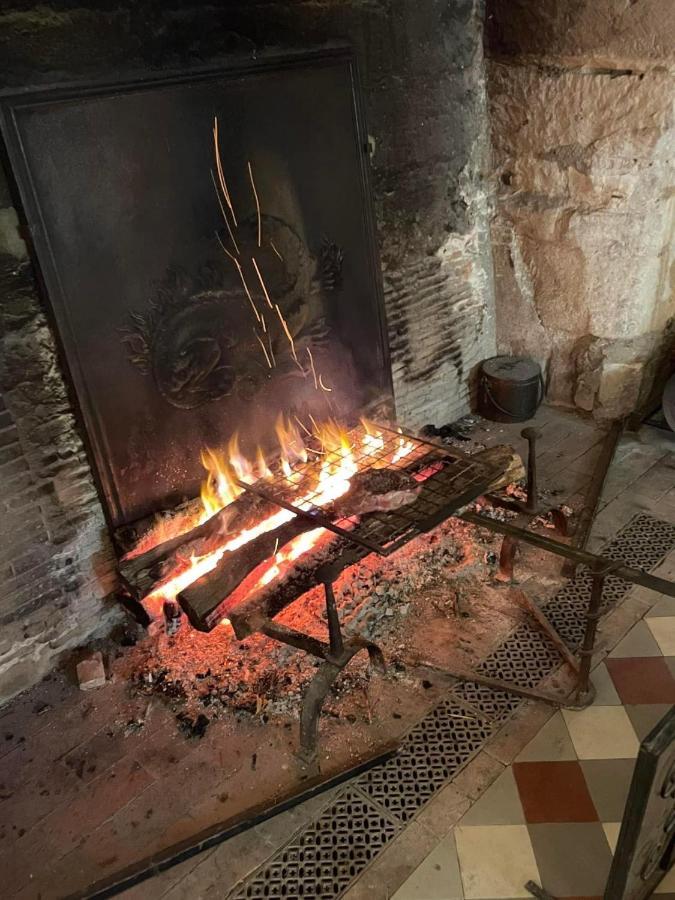 Chateau De Valesne Saché Dış mekan fotoğraf