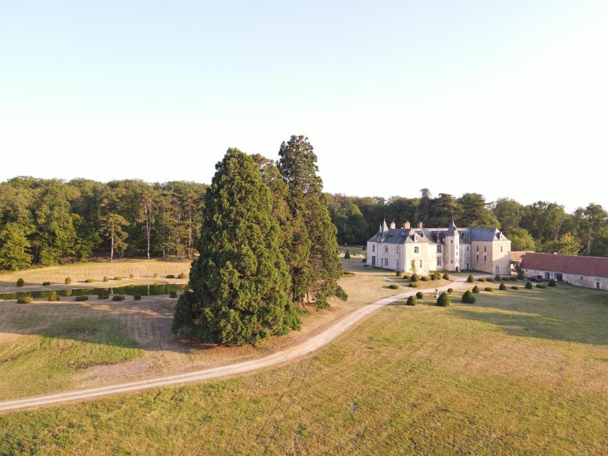 Chateau De Valesne Saché Dış mekan fotoğraf